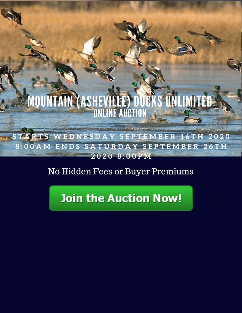 online auction