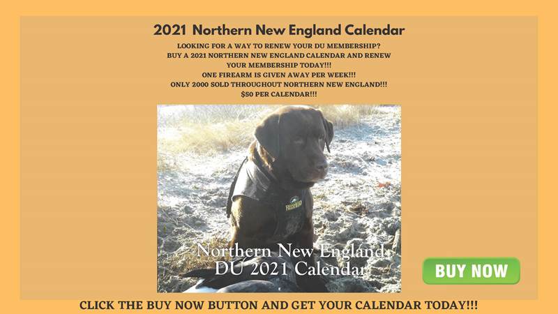 Ducks Unlimited Ducks Unlimited Northern New England Gun Calendar 