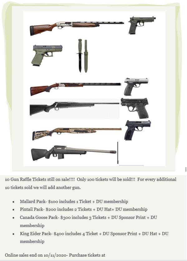 Warren County 10 Gun Raffle Flyer