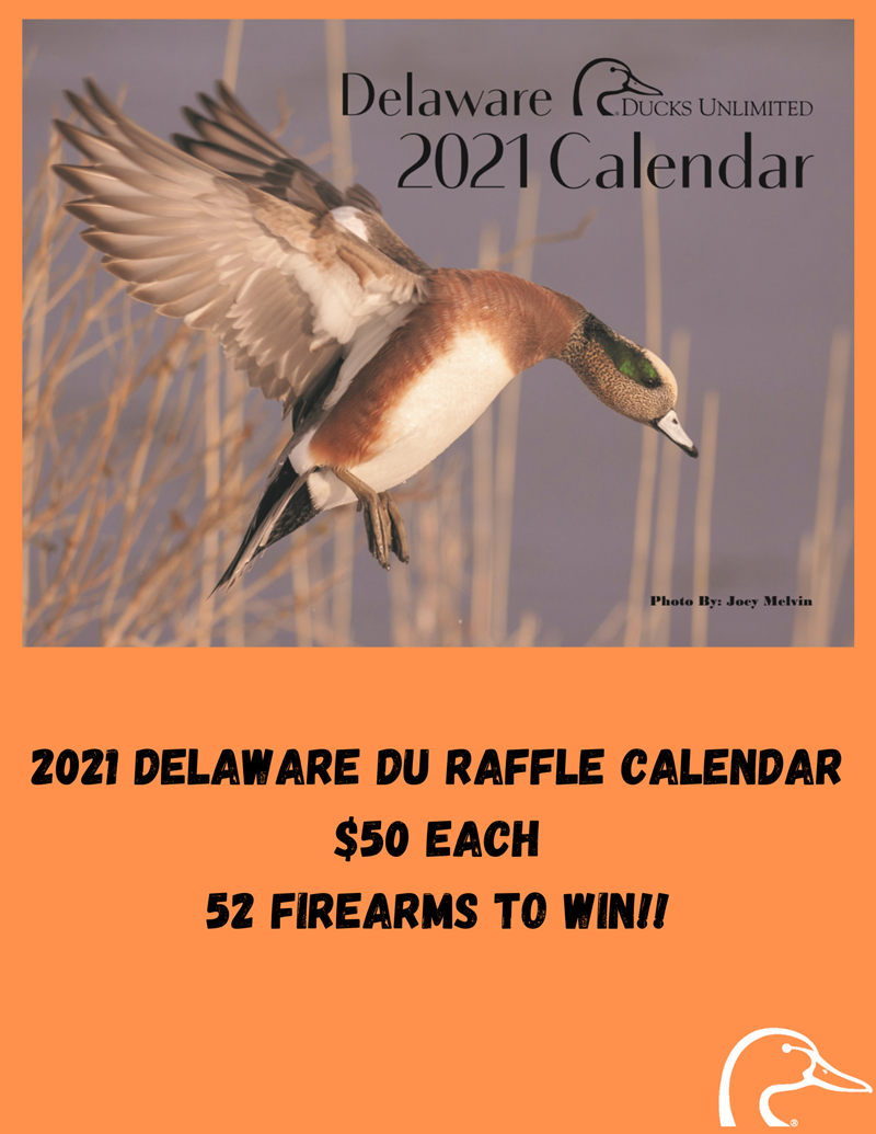 ducks-unlimited-calendar-2021-winners-printable-word-searches