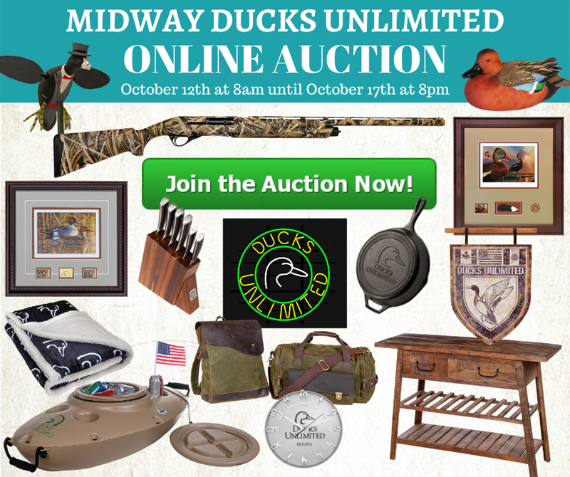 Online AUction