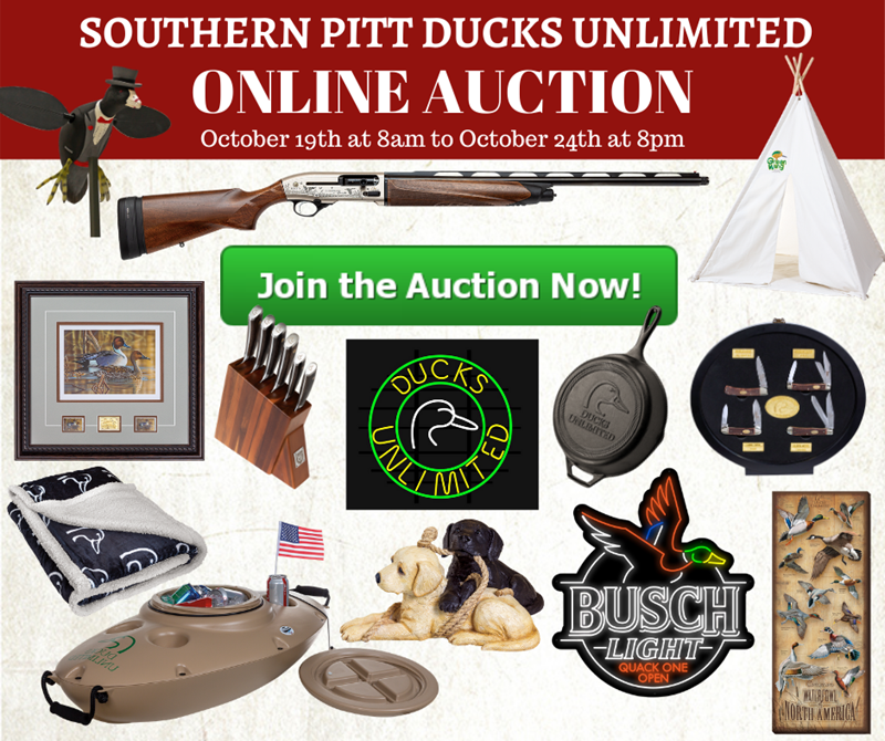 Online Auction