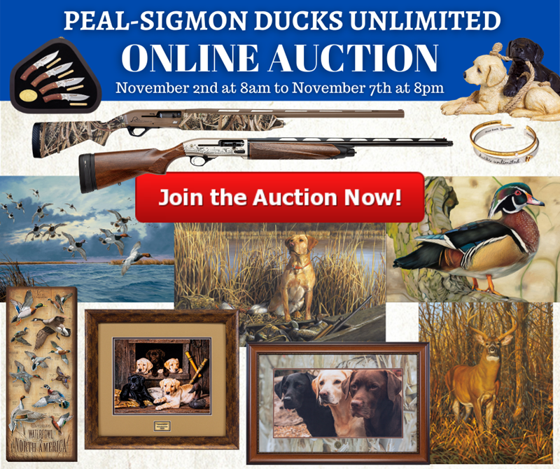 Online Auction