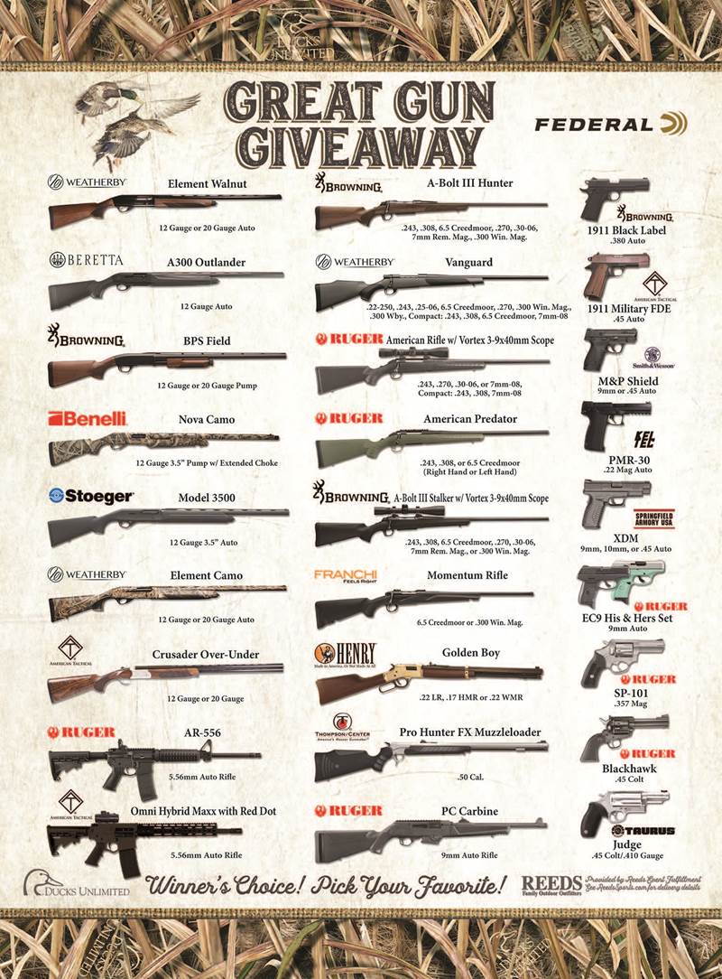 Great Gun Giveaway Banner