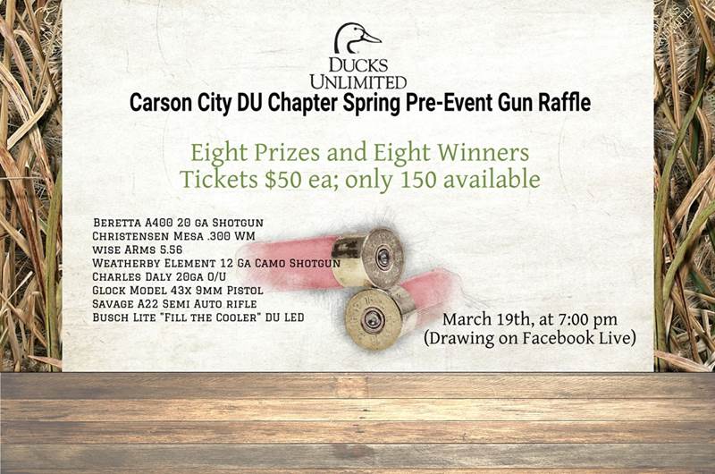 Carson city raffle 