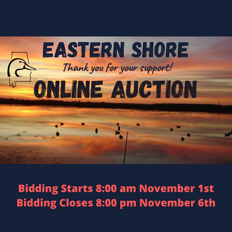Ducks Unlimited Eastern Shore Ducks Unlimited Online Auction Loxley, AL