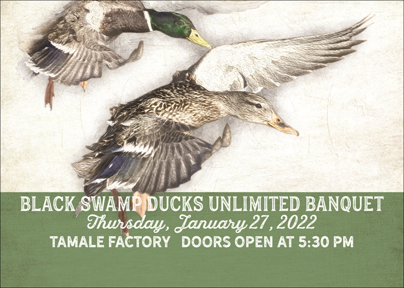 black ducks unlimited logo