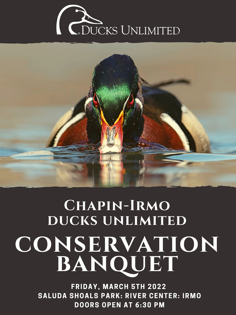 Ducks Unlimited: Ducks Unlimited - Chapin Irmo Annual Spring Banquet