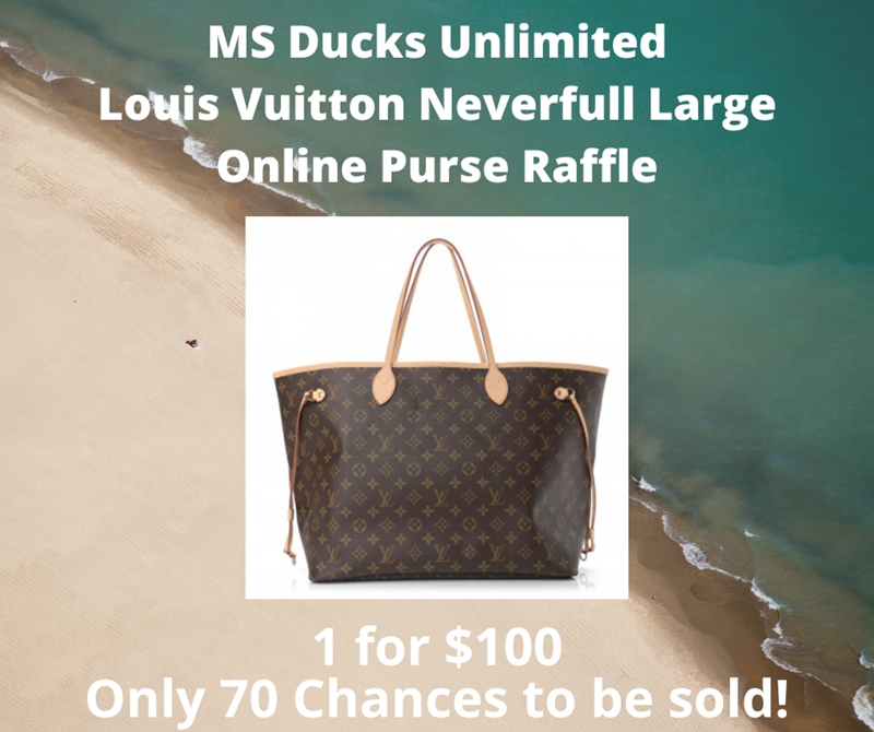 Louis Vuitton Raffle - Neverfull MM Tote