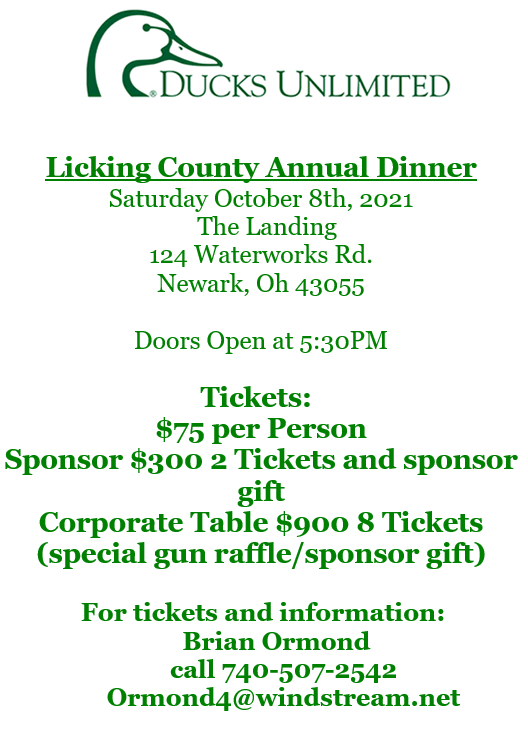 Licking County D flyer