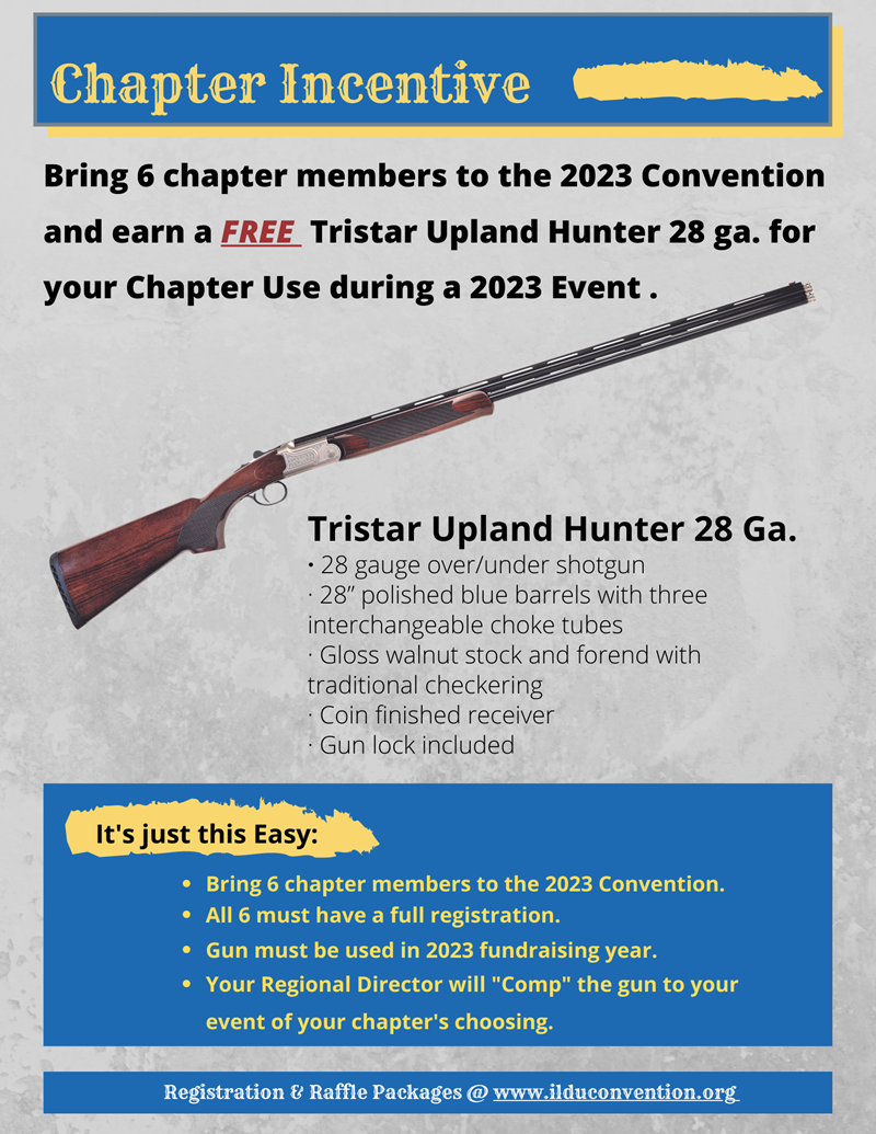 2023 Chapter Incentive