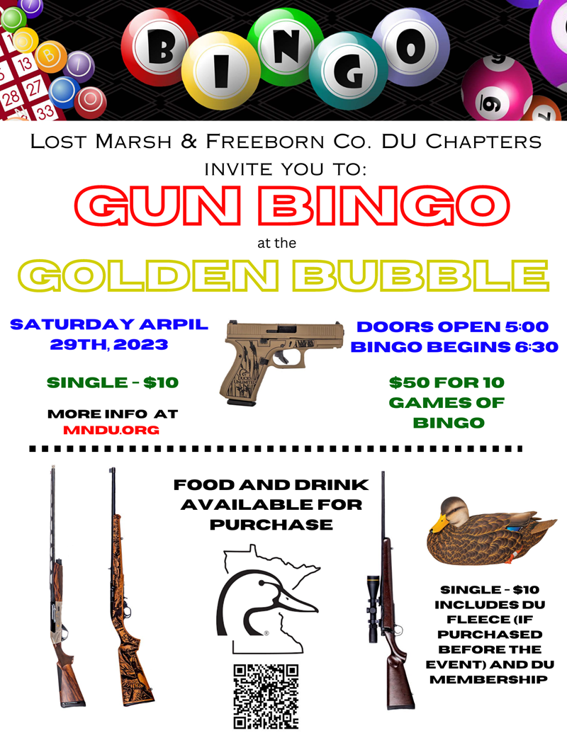 Golden Bubble Bingo Flyer QR 