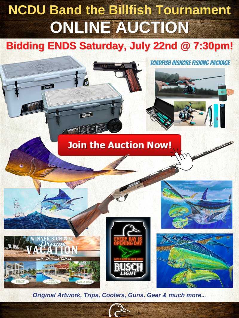 Online Auction