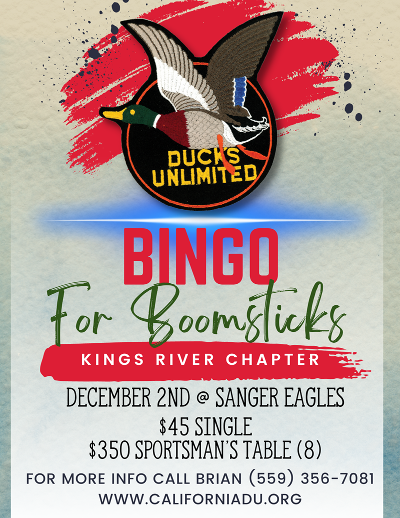 Music Bingo & Kahoot! Trivia with Dj Simon Says, Whiskey River On The  Water, Port Richey, 1 August