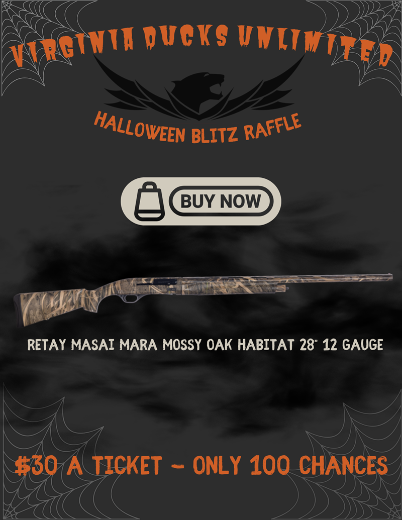 https://duckscdn.blob.core.windows.net/file-cloud/20231026/VA_Halloween_Blitz_Raffle___Flyer.png