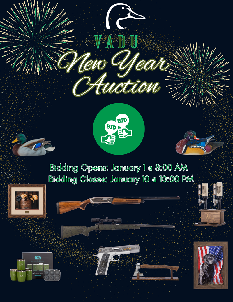 https://duckscdn.blob.core.windows.net/file-cloud/20231228/VADU_2024new_year_auction_Real_Estate_Flyer.png