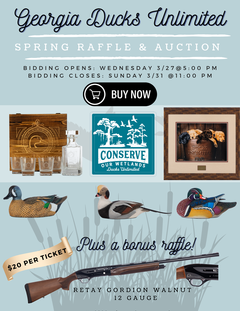 https://duckscdn.blob.core.windows.net/file-cloud/20240327/GA_DU_Spring_Raffle_&_Auction__Real_Estate_Flyer.png