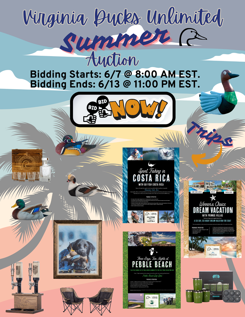 https://duckscdn.blob.core.windows.net/file-cloud/20240606/VADU_Summer_Auction__Real_Estate_Flyer.png