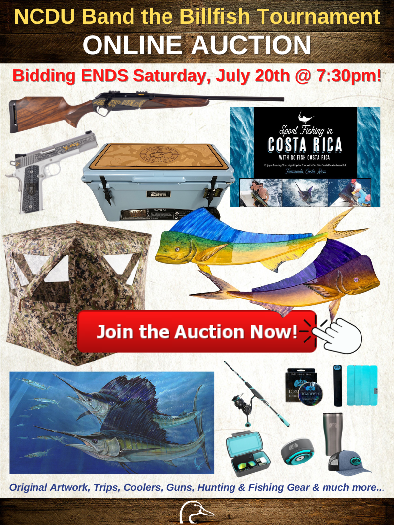 Online Auction BTBF 7.20.24