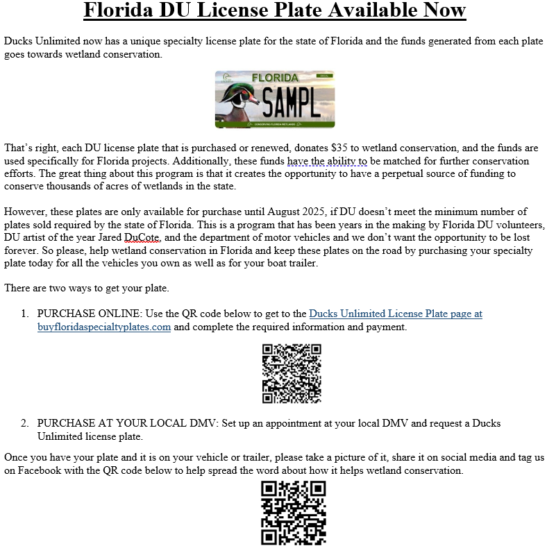 florida car tag procedure