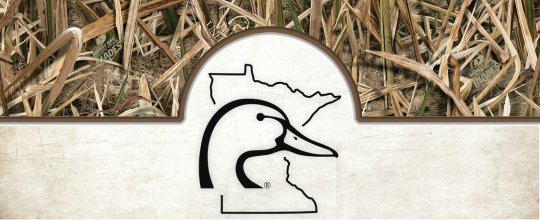 https://duckscdn.blob.core.windows.net/file-cloud/20250625/Minnesota_DU_E-Blast_MO_Blades_Header.png