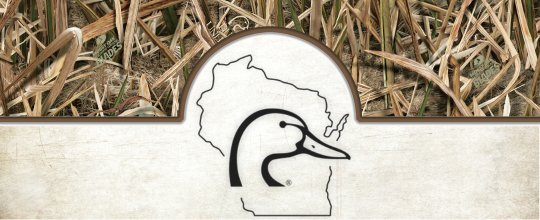 https://duckscdn.blob.core.windows.net/file-cloud/20250701/Wisconsin_DU_E-Blast_MO_Blades_Header.png