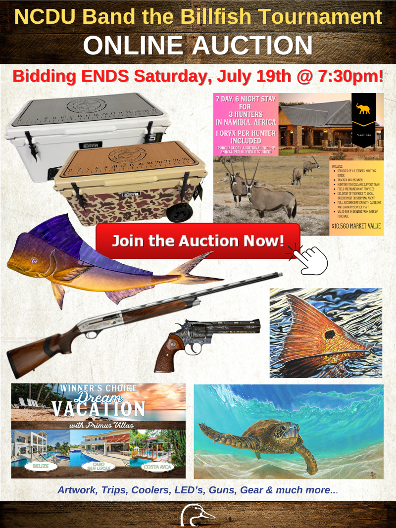 BTB Online Auction 7.20.25