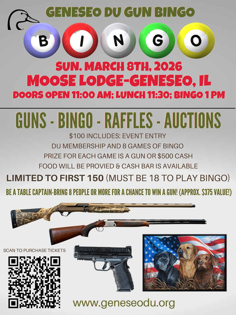 2026 Geneseo Bingo Flyer 2