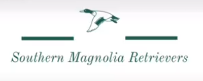Southern Magnolia Retreivers 7.31.26