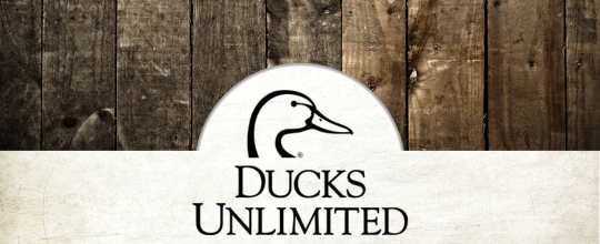 https://duckscdn.blob.core.windows.net/file-cloud/20260515/Generic_DU_Header_.png