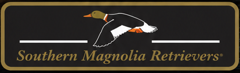 Southern Magnolia Retreivers 7.31.26