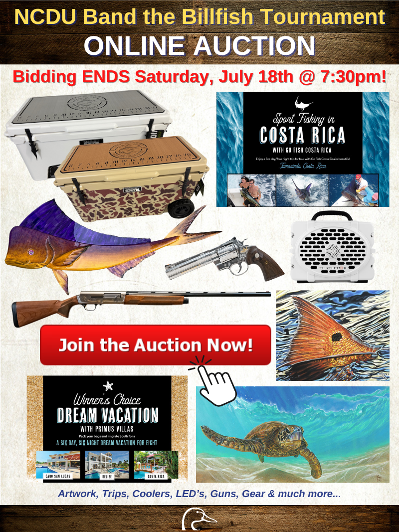 BTB Online Auction 7.18.26