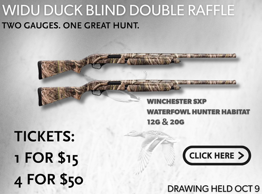 https://duckscdn.blob.core.windows.net/file-cloud/20260930/click_here_duck_blind.png
