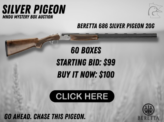 https://duckscdn.blob.core.windows.net/file-cloud/20261028/CLICK_HERE_SILVER_PIGEON.png