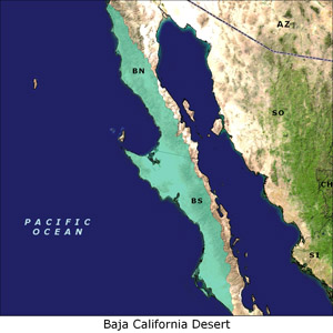 Baja California Desert map