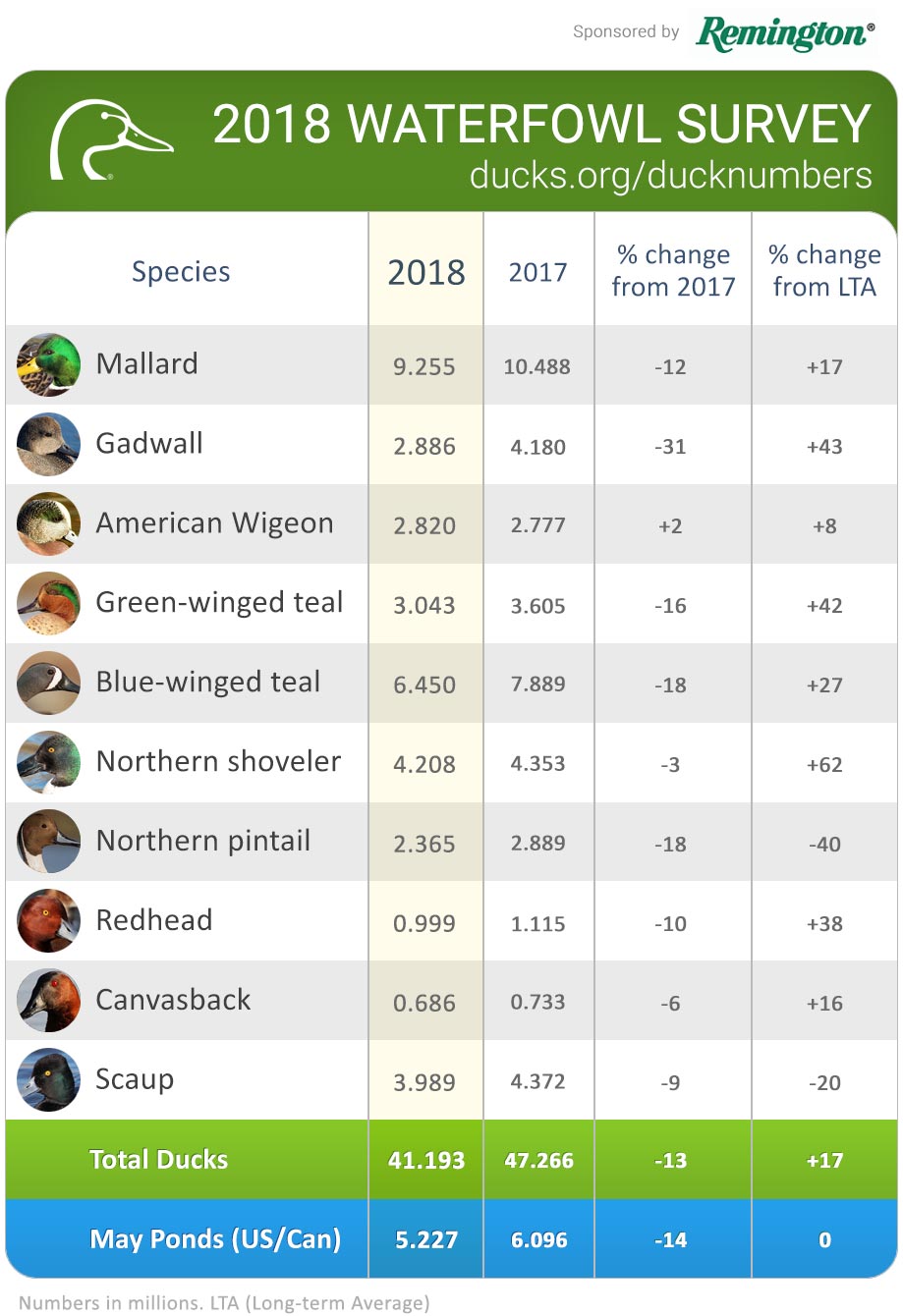 2018 Waterfowl Survey duck numbers
