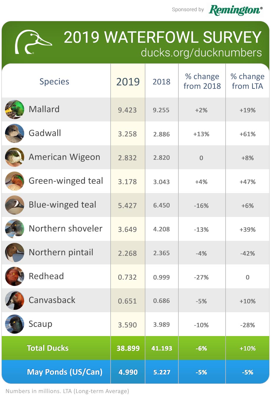 2019 Waterfowl Survey Duck Numbers
