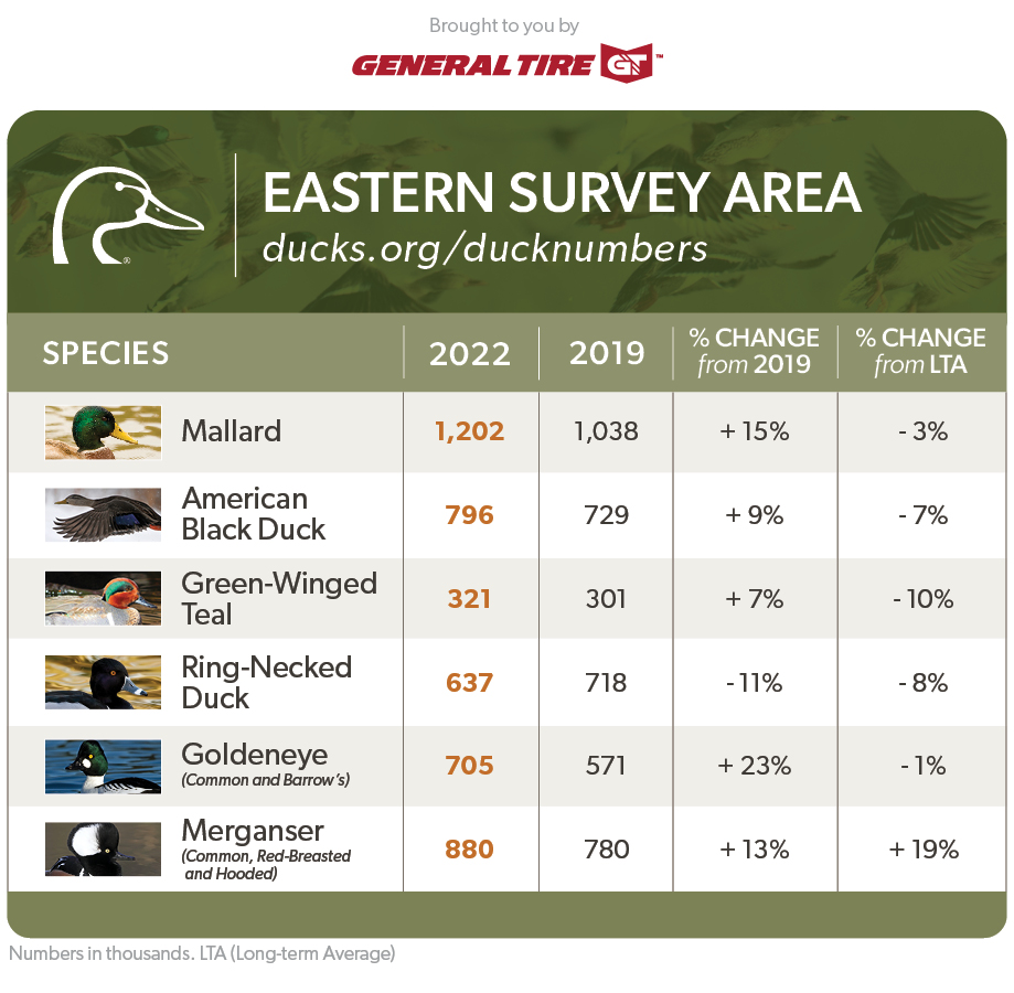 2022 Eastern Area Survey Duck Numbers