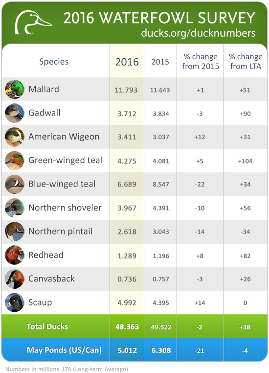 2016 Waterfowl Survey Duck Numbers