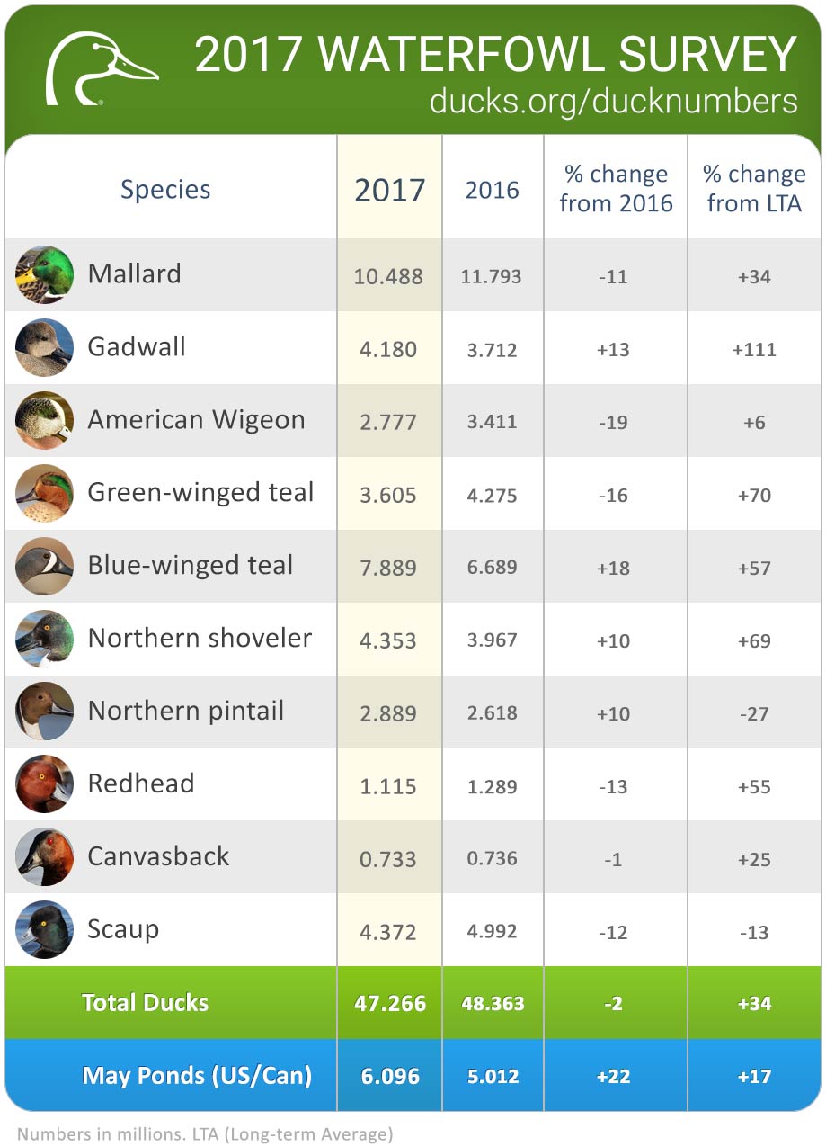 2017 Waterfowl Survey Duck Numbers