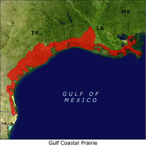 Gulf Coastal Prairie map
