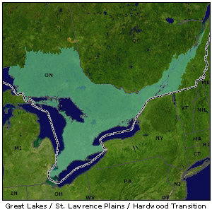 Hardwood Transition / Lower Great Lakes map