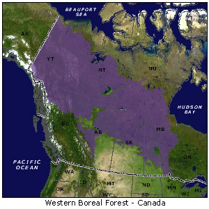Map of Western Boreal Forest - Canada