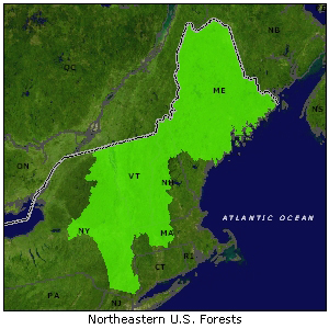 Northeastern U.S. Forests map