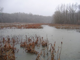 Flooded project site at Caswell Game Land 2005