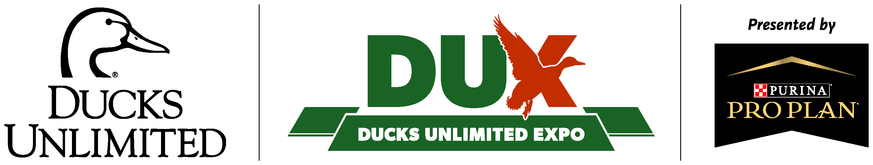 Ducks Expo Logo