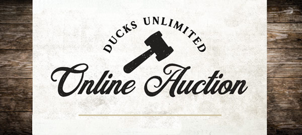 jersey auctions online