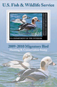 2009 Duck Stamp winner