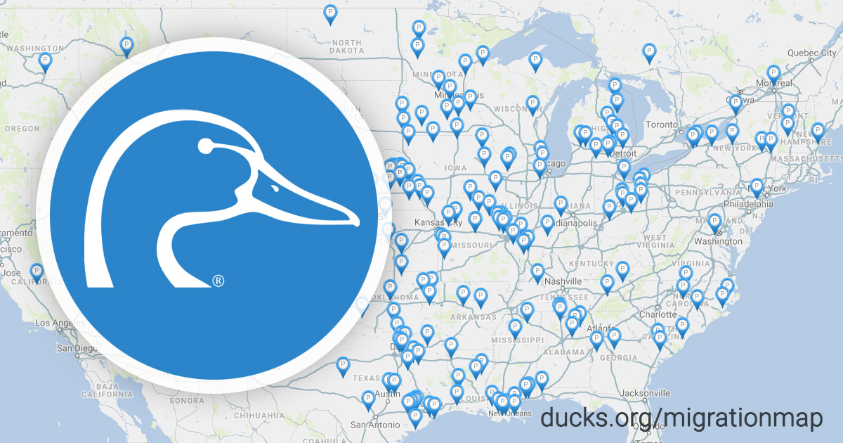 Ducks Unlimited Waterfowl Migration Map Hunting Reports