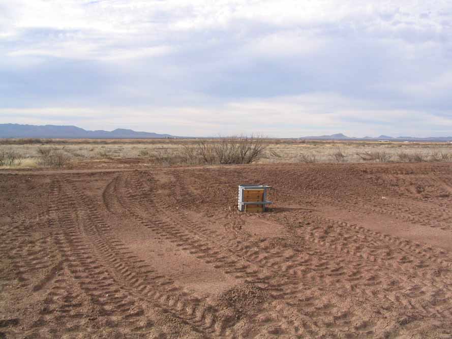Desert land for the Whitewater Draw Wildlife Area restoration project